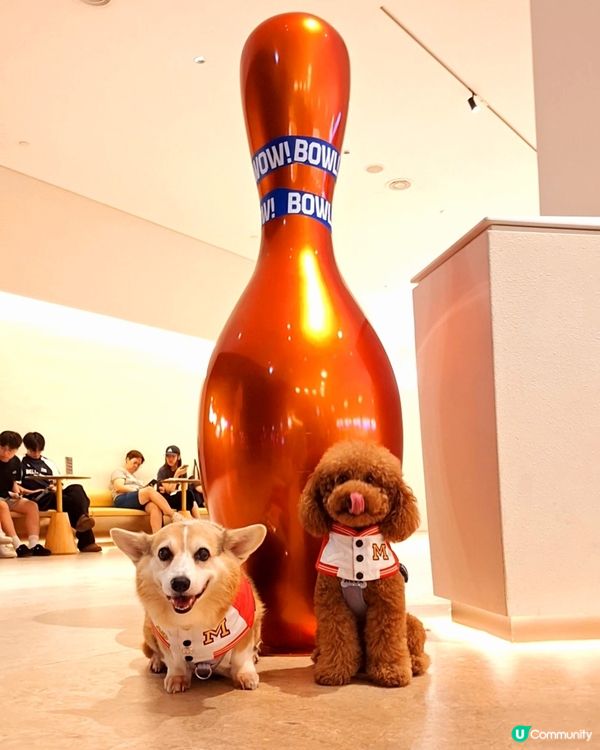 1. 啟德體育園保齡🎳！4萬呎玩到盡🥳！