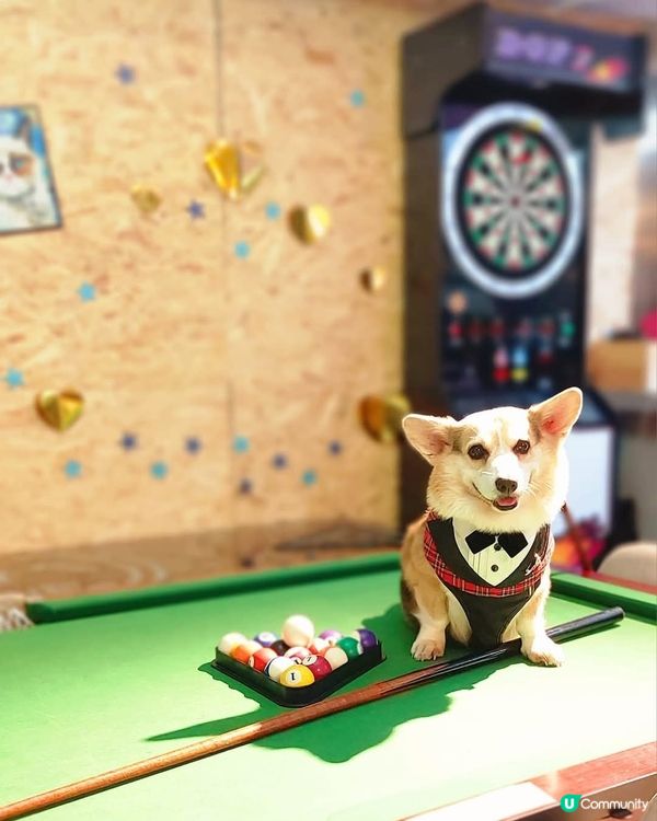 1. 啟德體育園保齡🎳！4萬呎玩到盡🥳！