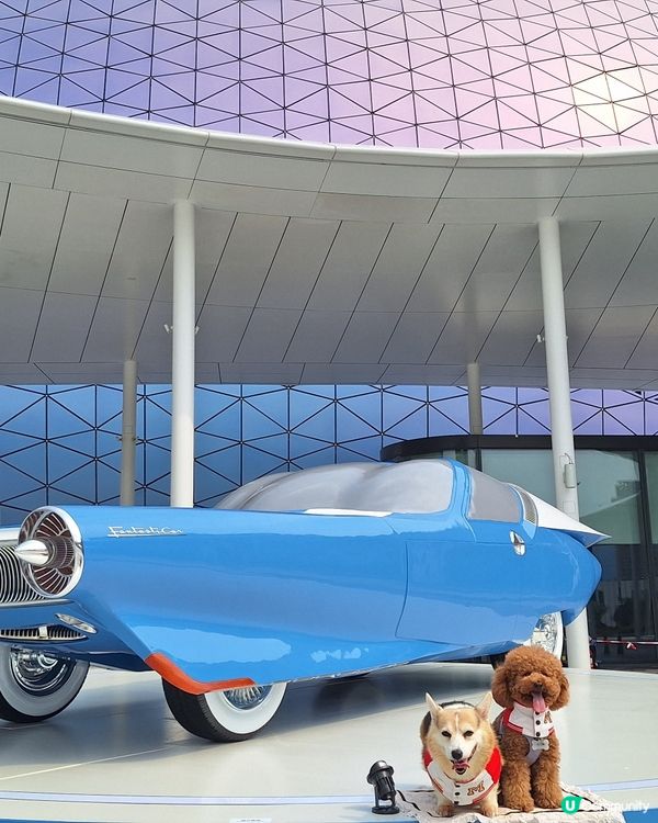 神奇4俠嚟料啦！香港打卡GO! 📸🔥