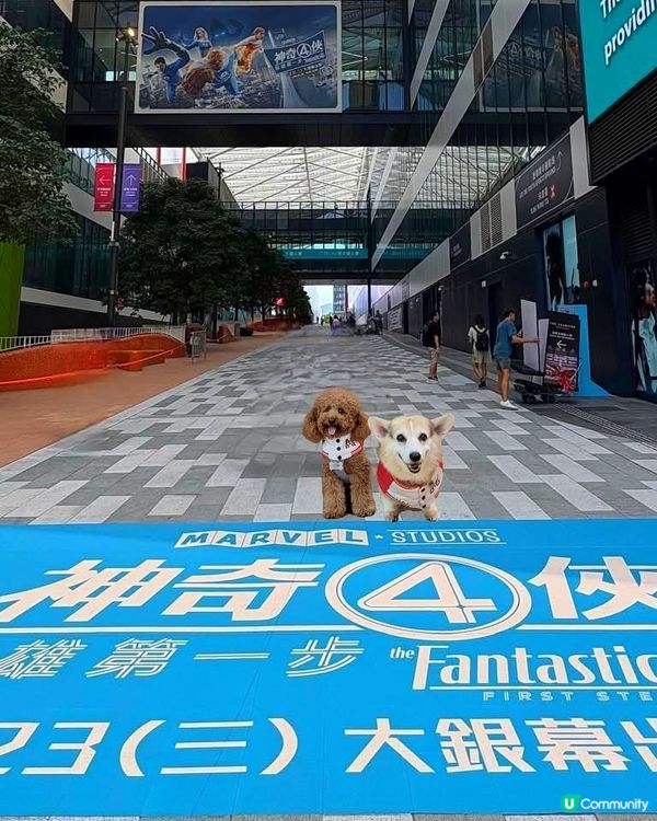 神奇4俠嚟料啦！香港打卡GO! 📸🔥
