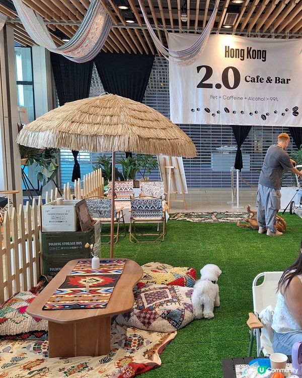 同媽咪玩足一日！🐶📸 超靚打卡位+寵物天堂！