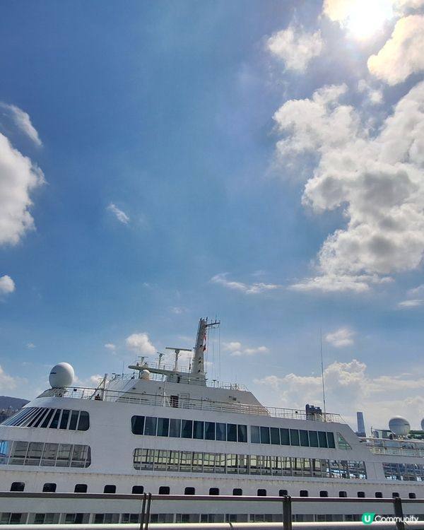 同媽咪玩足一日！🐶📸 超靚打卡位+寵物天堂！