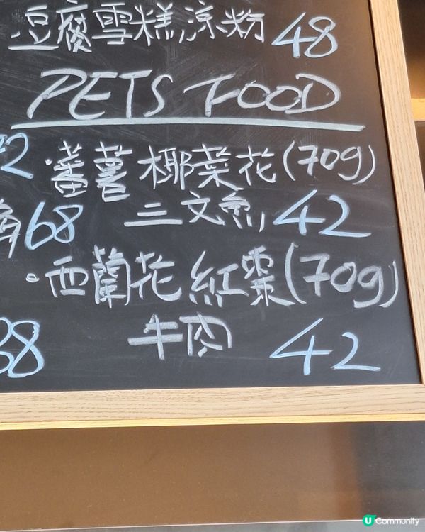 同媽咪玩足一日！🐶📸 超靚打卡位+寵物天堂！