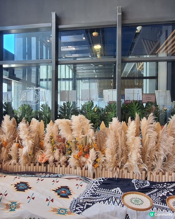 同媽咪玩足一日！🐶📸 超靚打卡位+寵物天堂！