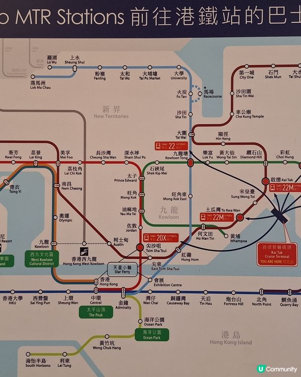 同媽咪玩足一日！🐶📸 超靚打卡位+寵物天堂！