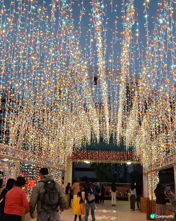 聖誕節 情人節 全天候心心