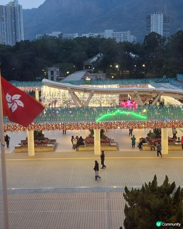 聖誕節 情人節 全天候心心