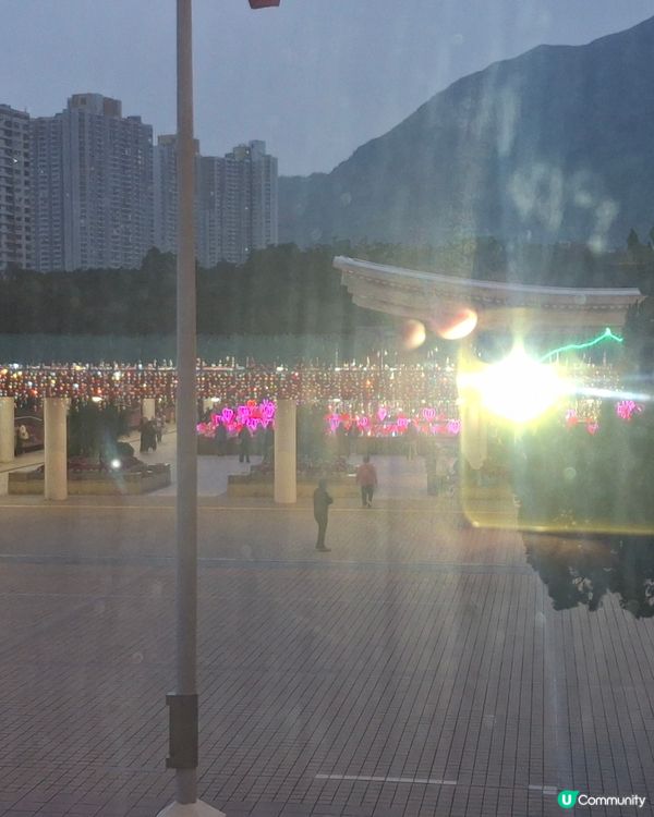 聖誕節 情人節 全天候心心