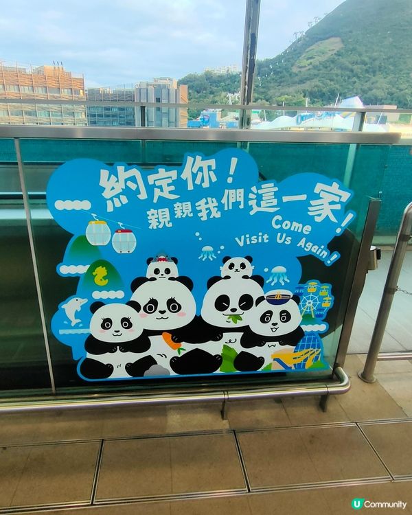 海洋公園站，熊貓一家大細貼紙打卡點！🐼🚇