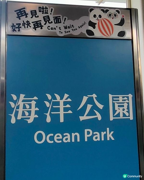 海洋公園站，熊貓一家大細貼紙打卡點！🐼🚇