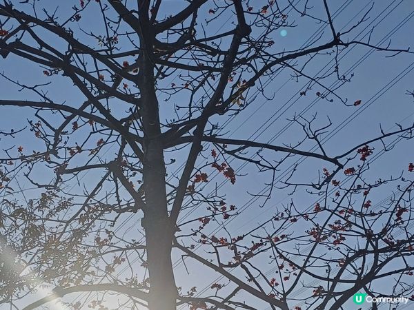 麥理浩徑 M049 to M100