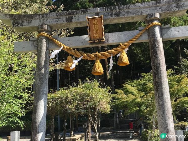 日本必遊世界級美景 — 莫奈之池