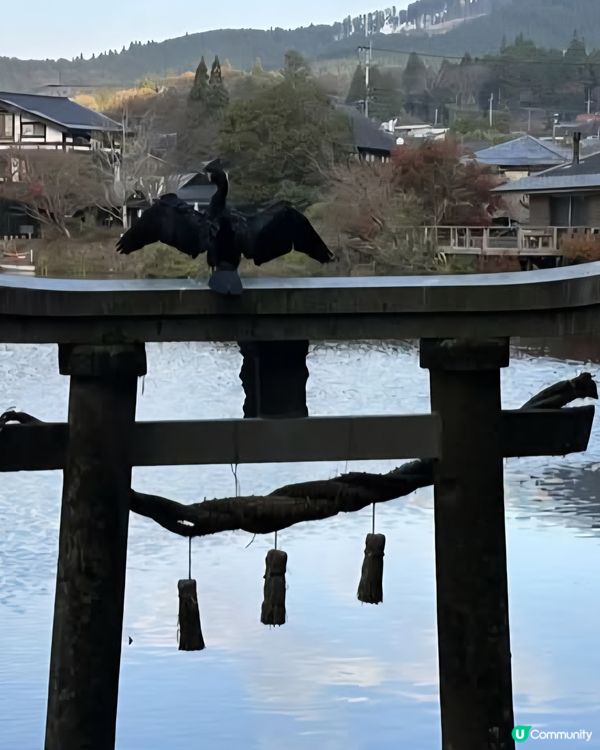 由布院