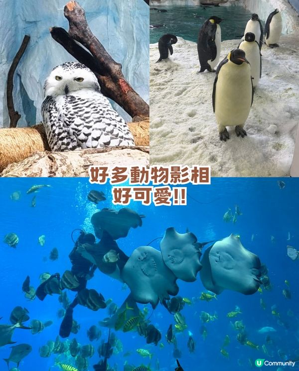 珠海橫琴2日1夜遊全攻略！歐式古堡/童話世界樂園