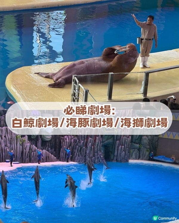 珠海橫琴2日1夜遊全攻略！歐式古堡/童話世界樂園