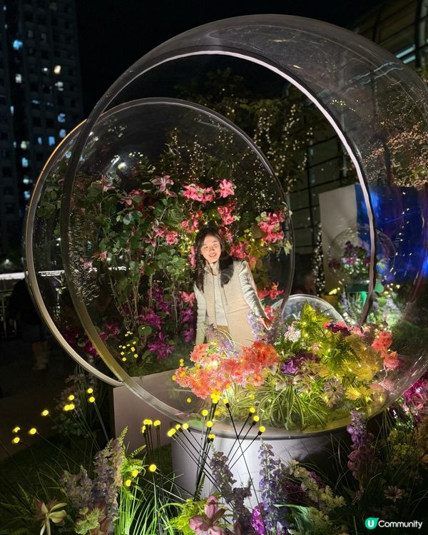 聖誕必去！沙田新城市廣場🤩！光影匯演✨！