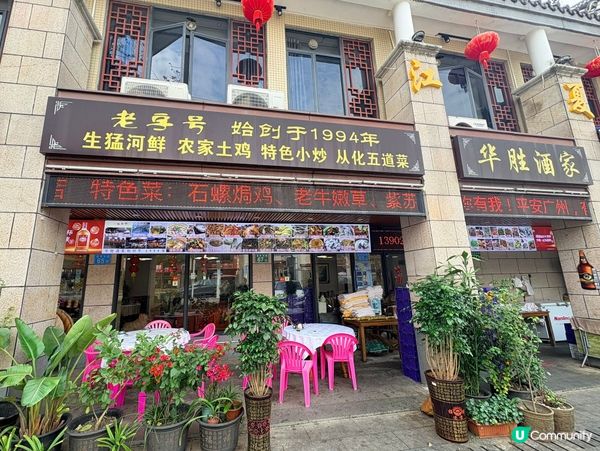 廣州搵食記！華勝酒家土炮菜🤤 必試！