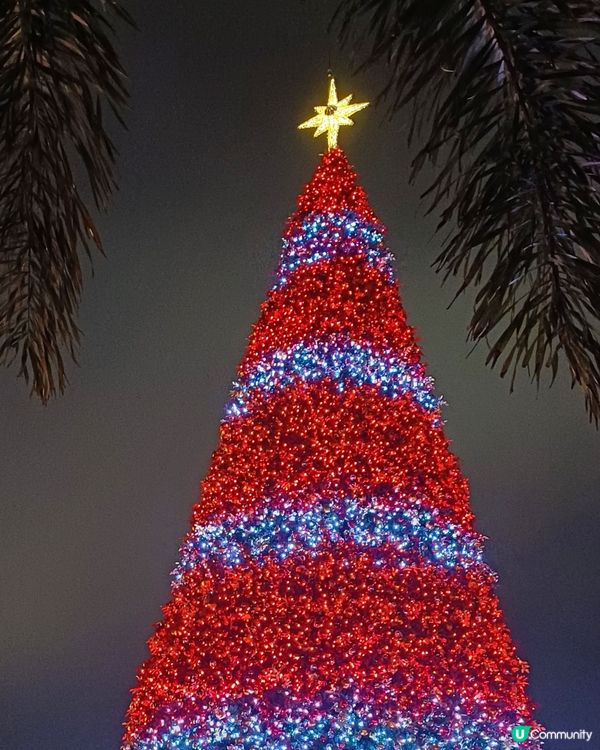 全港最高巨型聖誕樹