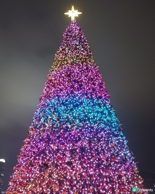 全港最高巨型聖誕樹