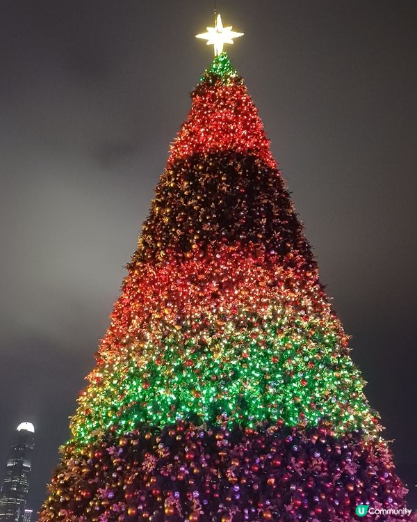 全港最高巨型聖誕樹