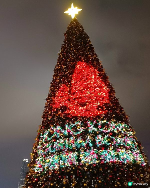 全港最高巨型聖誕樹