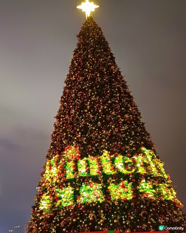 全港最高巨型聖誕樹