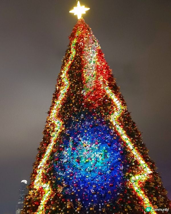 全港最高巨型聖誕樹