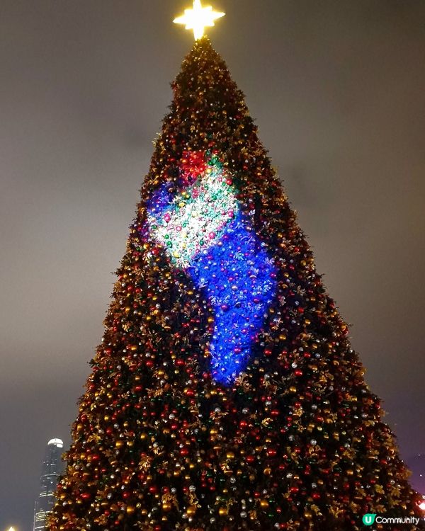 全港最高巨型聖誕樹