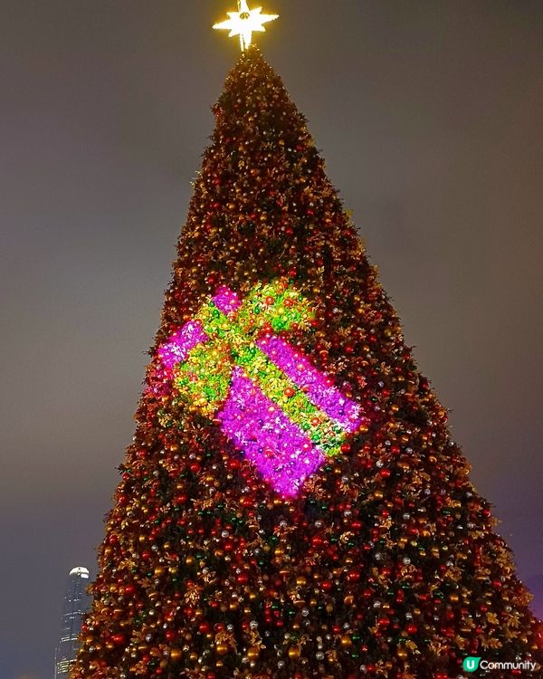 全港最高巨型聖誕樹