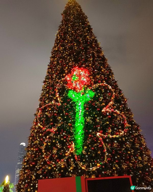 全港最高巨型聖誕樹