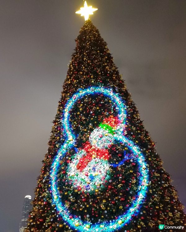 全港最高巨型聖誕樹