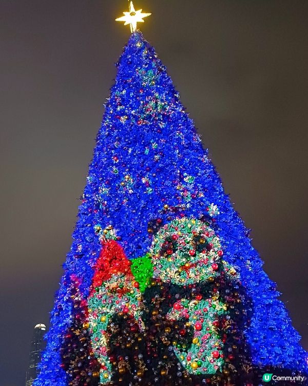 全港最高巨型聖誕樹