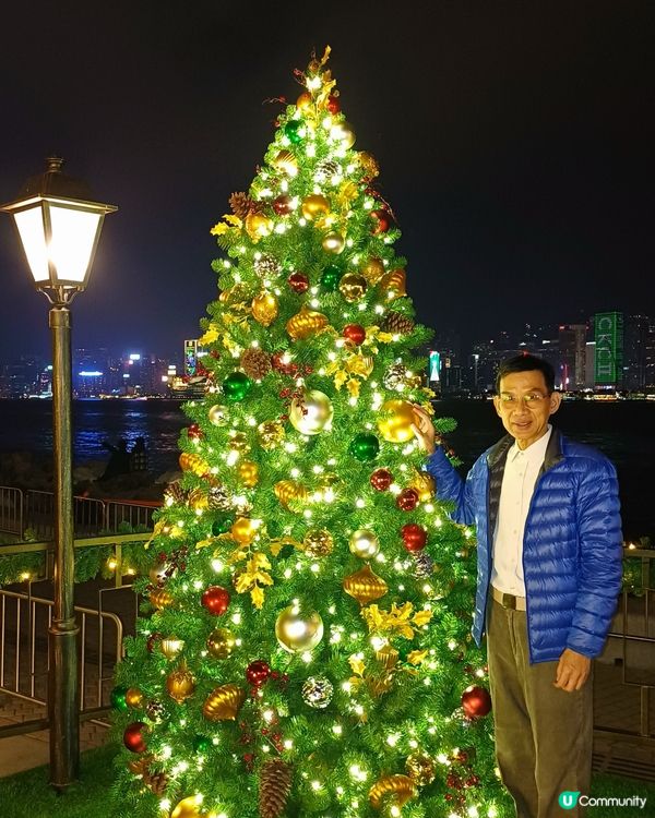 全港最高巨型聖誕樹