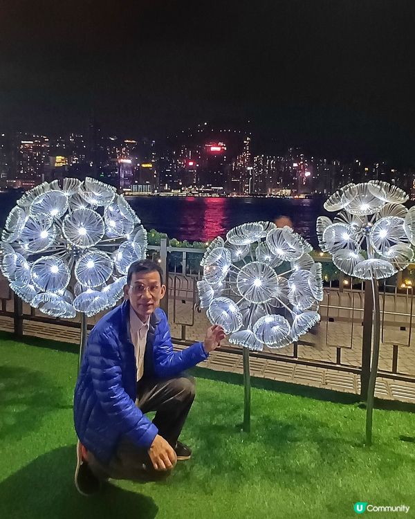 全港最高巨型聖誕樹