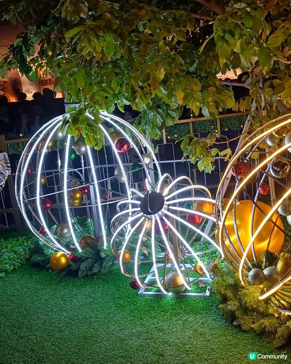 全港最高巨型聖誕樹