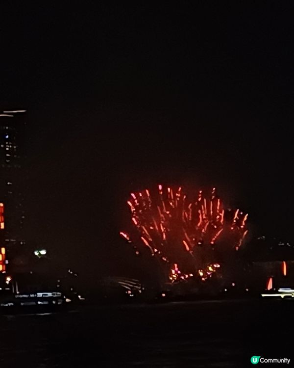 全港最高巨型聖誕樹