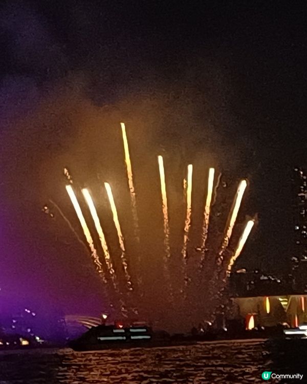 全港最高巨型聖誕樹