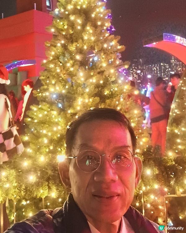 全港最高巨型聖誕樹