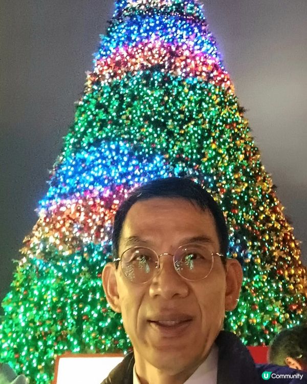 全港最高巨型聖誕樹