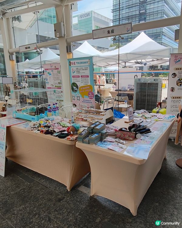 🐶🐱寵愛一生🐰🐢