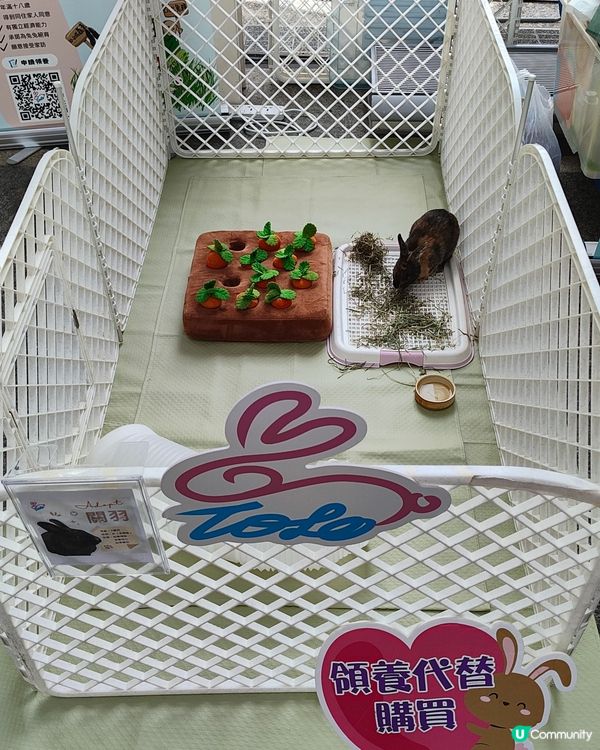 🐶🐱寵愛一生🐰🐢