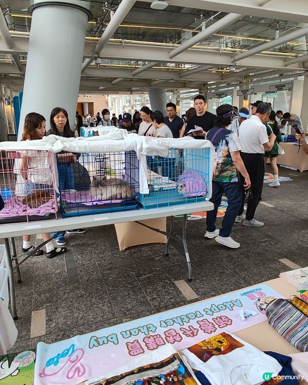 🐶🐱寵愛一生🐰🐢