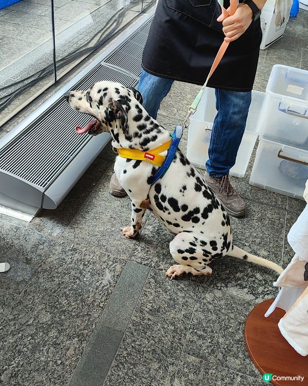 🐶🐱寵愛一生🐰🐢