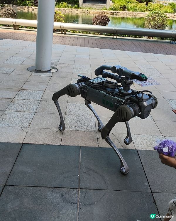 🐶🐱寵愛一生🐰🐢