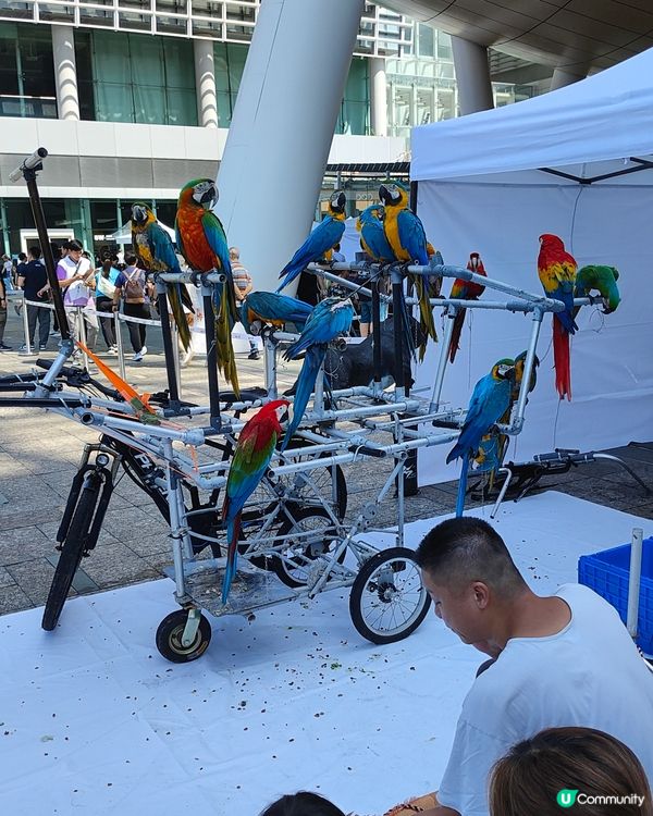 🐶🐱寵愛一生🐰🐢