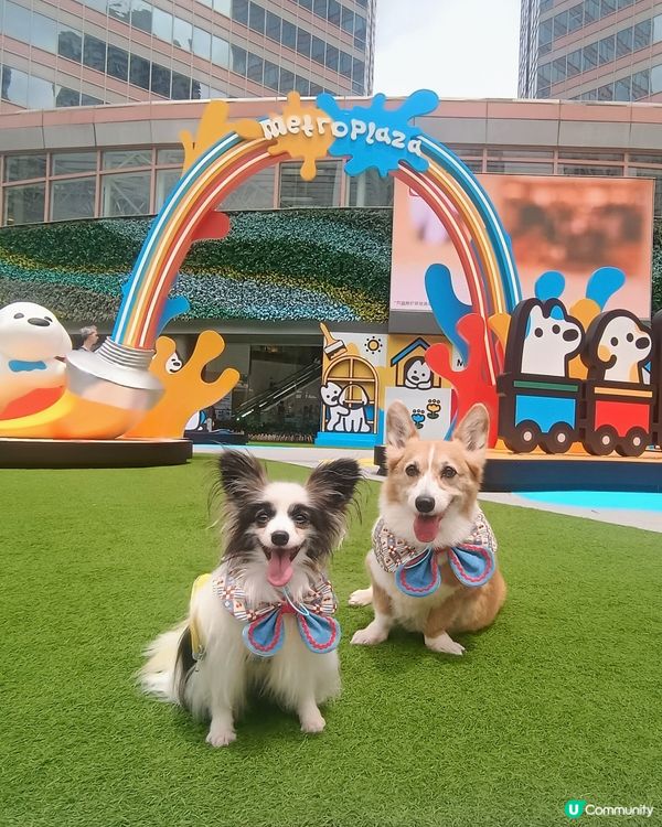 暑假帶毛孩去邊好？新都會廣場 × matsui DOGS 