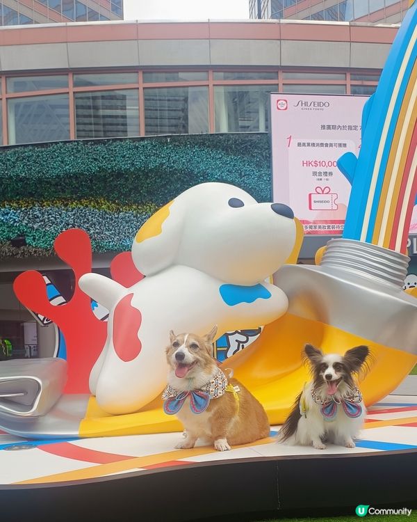暑假帶毛孩去邊好？新都會廣場 × matsui DOGS 