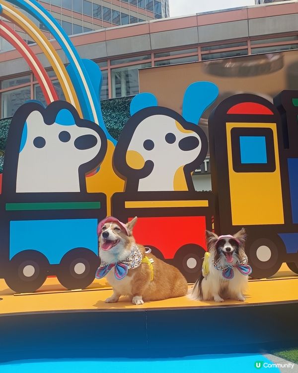 暑假帶毛孩去邊好？新都會廣場 × matsui DOGS 