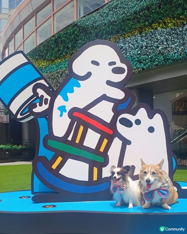 暑假帶毛孩去邊好？新都會廣場 × matsui DOGS 
