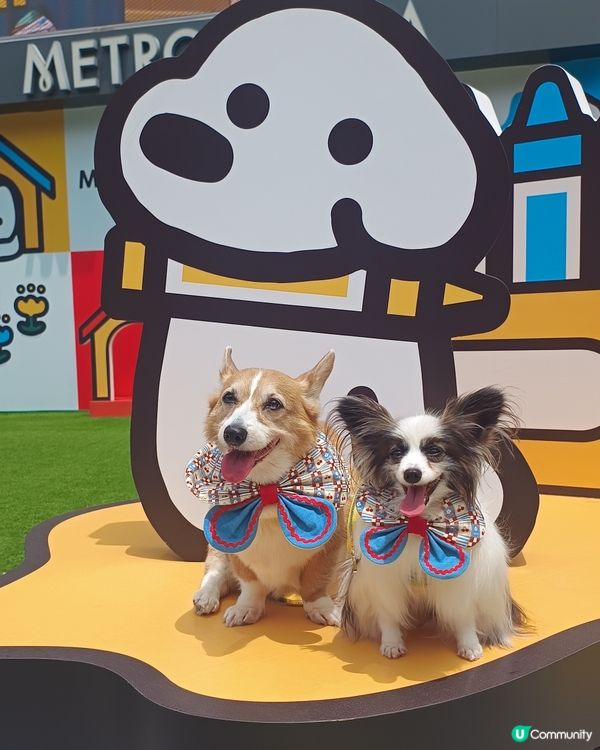 暑假帶毛孩去邊好？新都會廣場 × matsui DOGS 